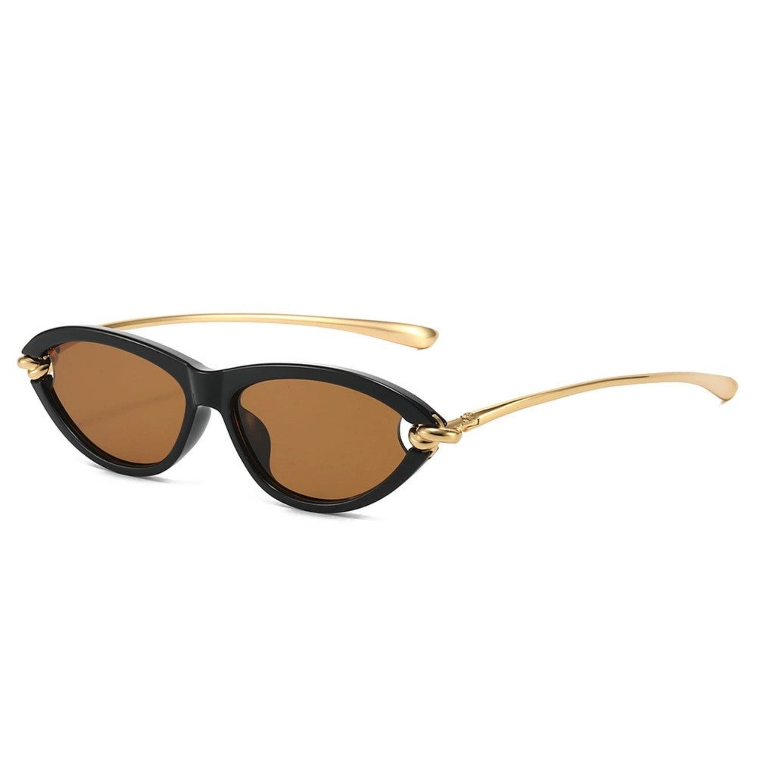 Black Cat-Eye Brown Sunglasses JLTG0167