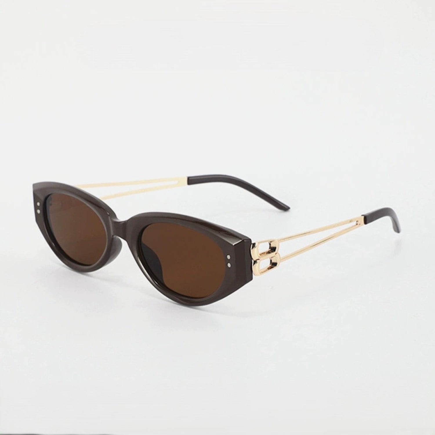 Brown Cat-Eye Sunglasses JLTG0184