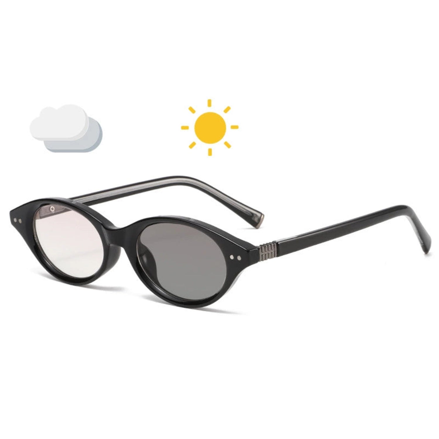 Black and Silver Oval Dual-Tone Sunglasses JLTG0220