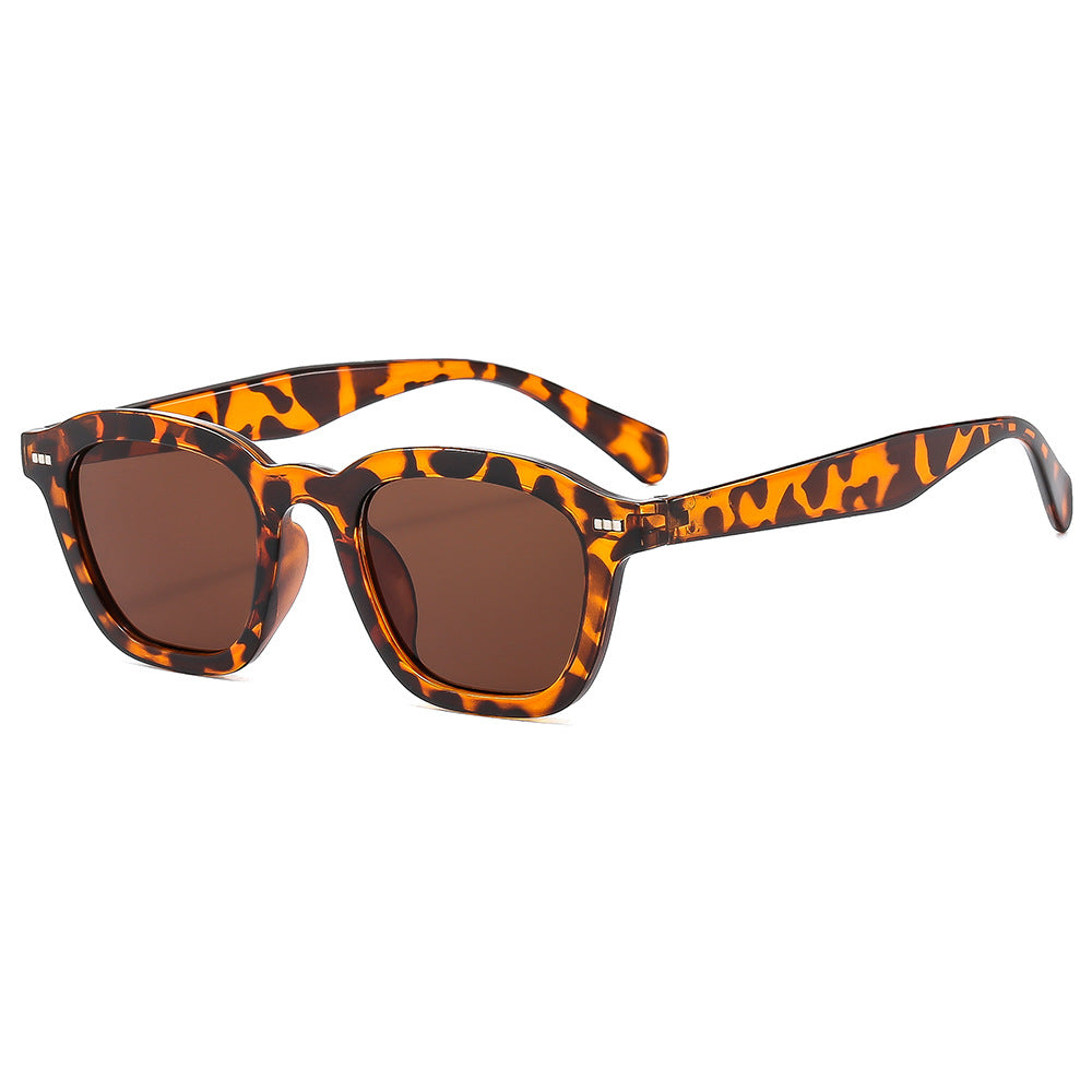 Stylish Tortoise Print Daily Shades JLTG0465
