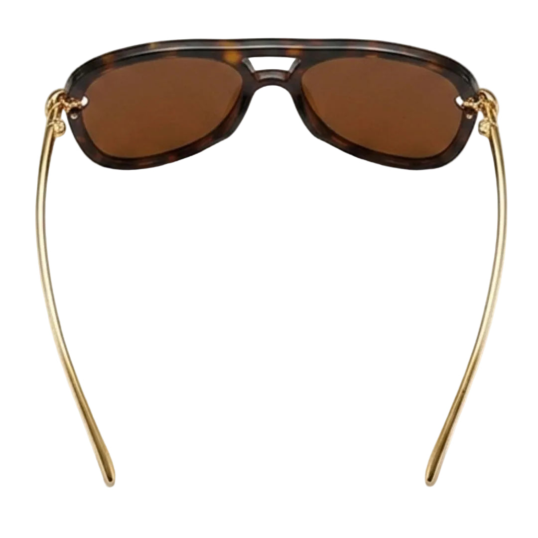 Chic Brown Aviator Sunglasses JLTG0479