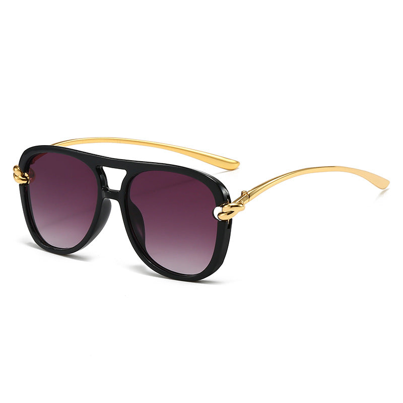 Chic Purple Aviator Sunglasses JLTG0480