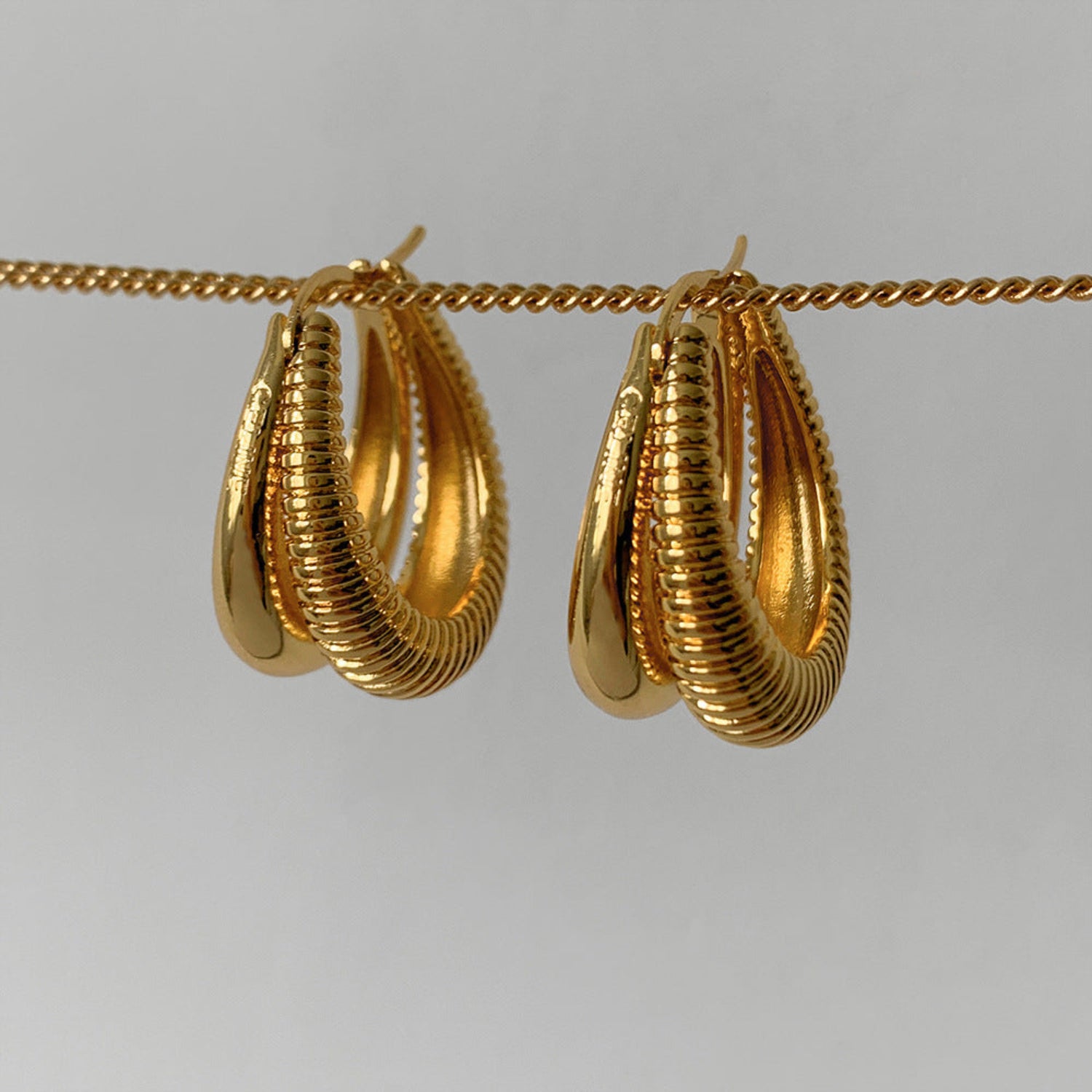 Elegant Double Layered Hoop Earrings JLT11724