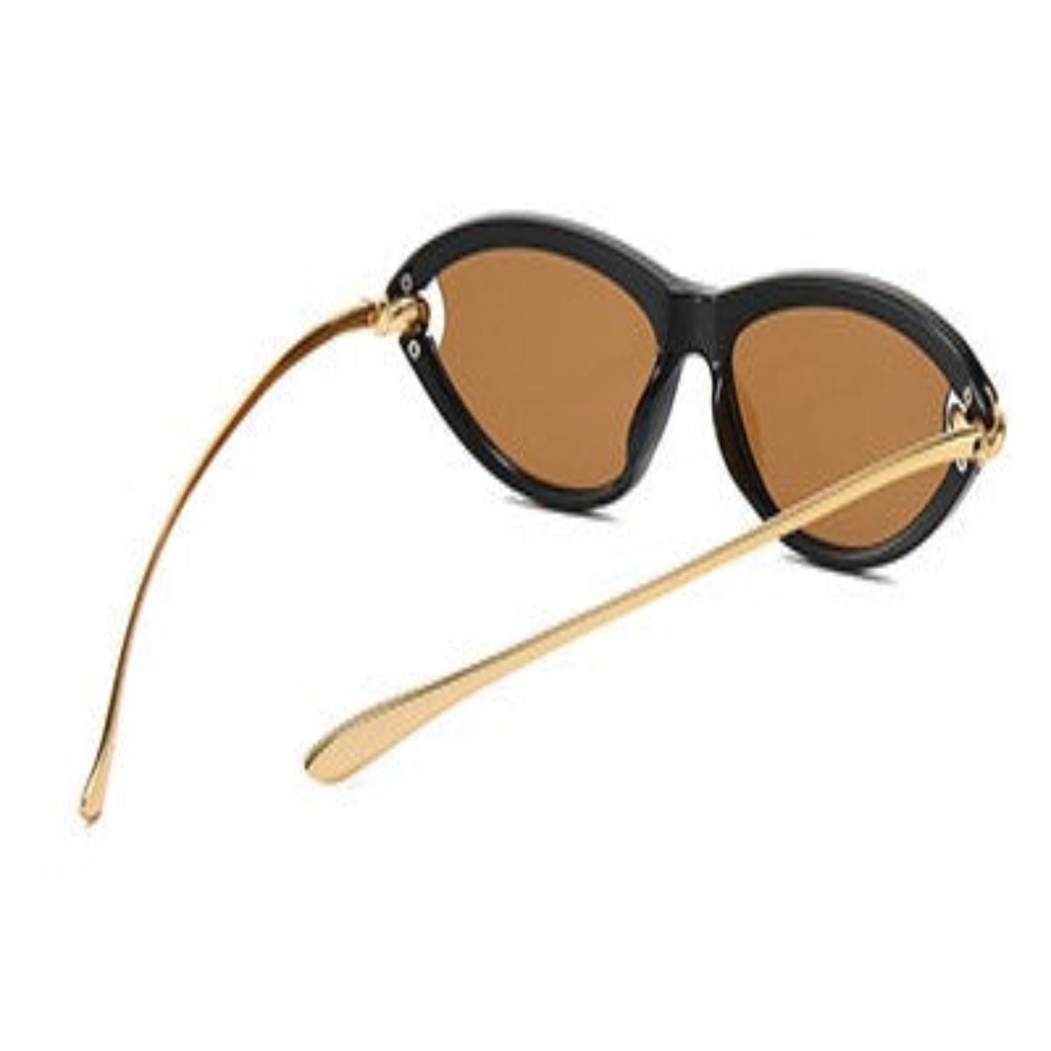 Black Cat-Eye Brown Sunglasses JLTG0167
