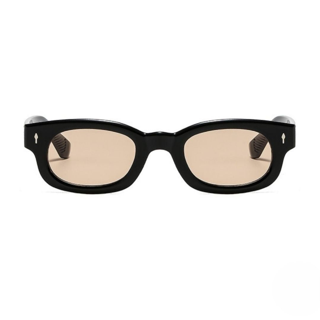 Chic Black Frame Brown Tint Sunglasses JLTG0475