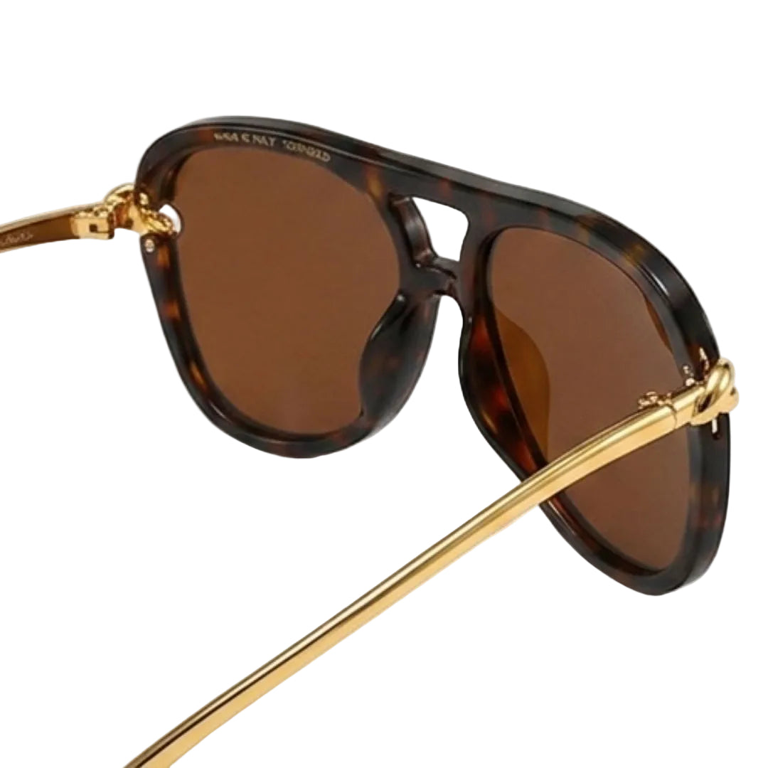 Chic Brown Aviator Sunglasses JLTG0479