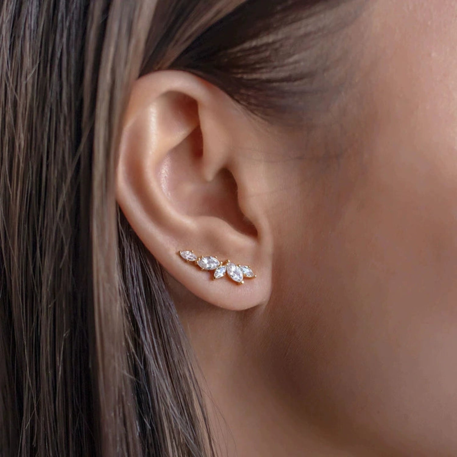 Crystal Leaf Earrings  jlt13445