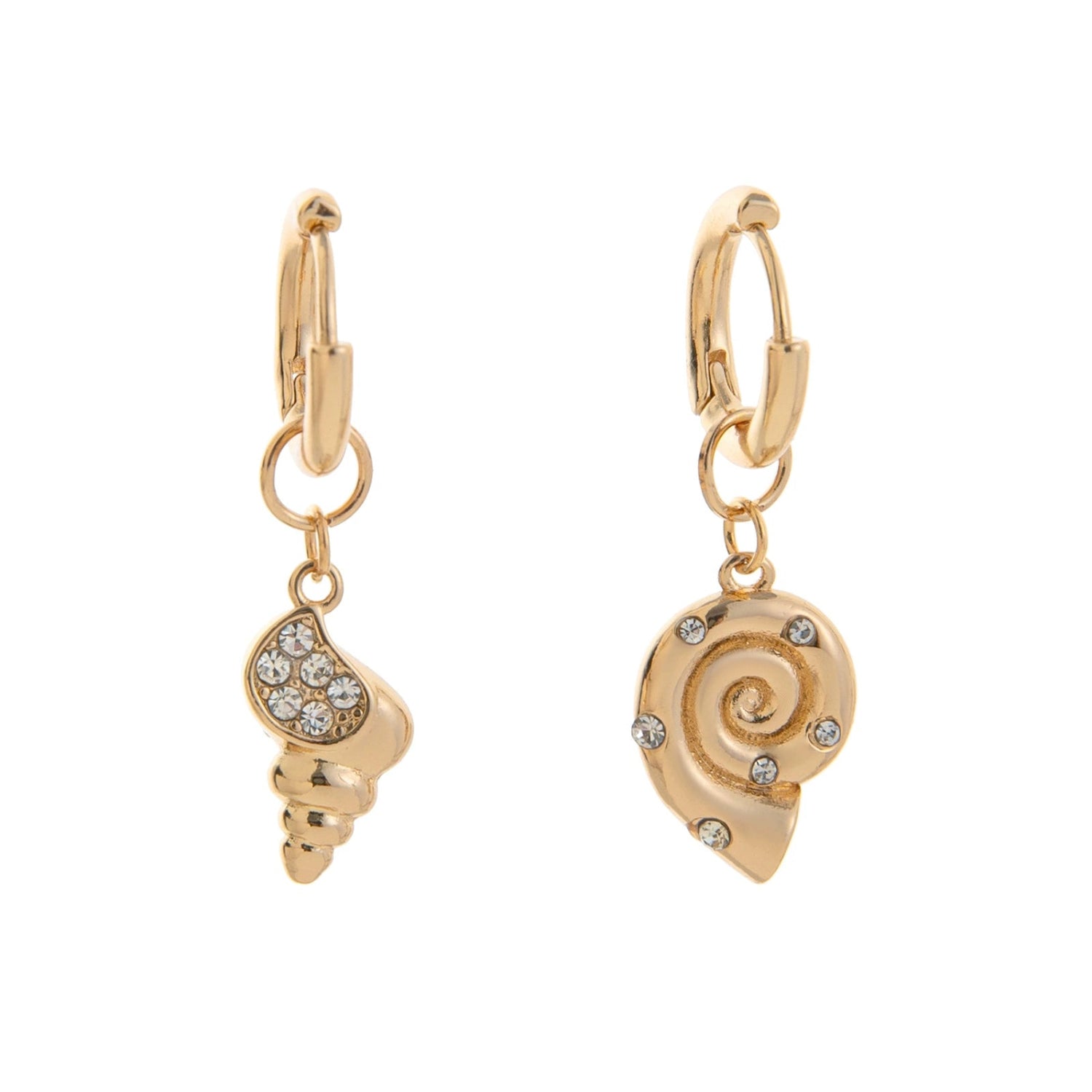 Golden Sheel Hoop Earrings jlt13516