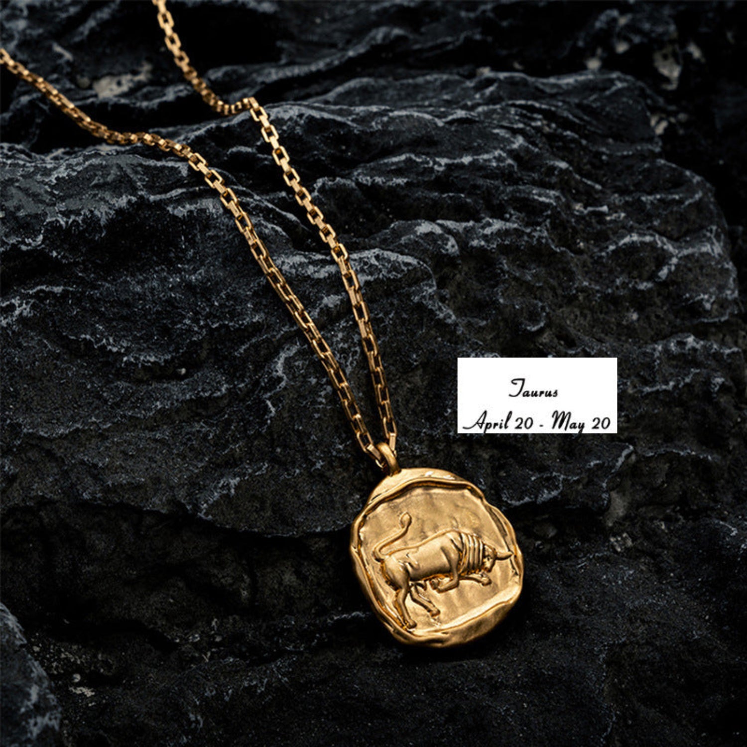 Lavish Zodiac Signs Pendant Chain Necklace
