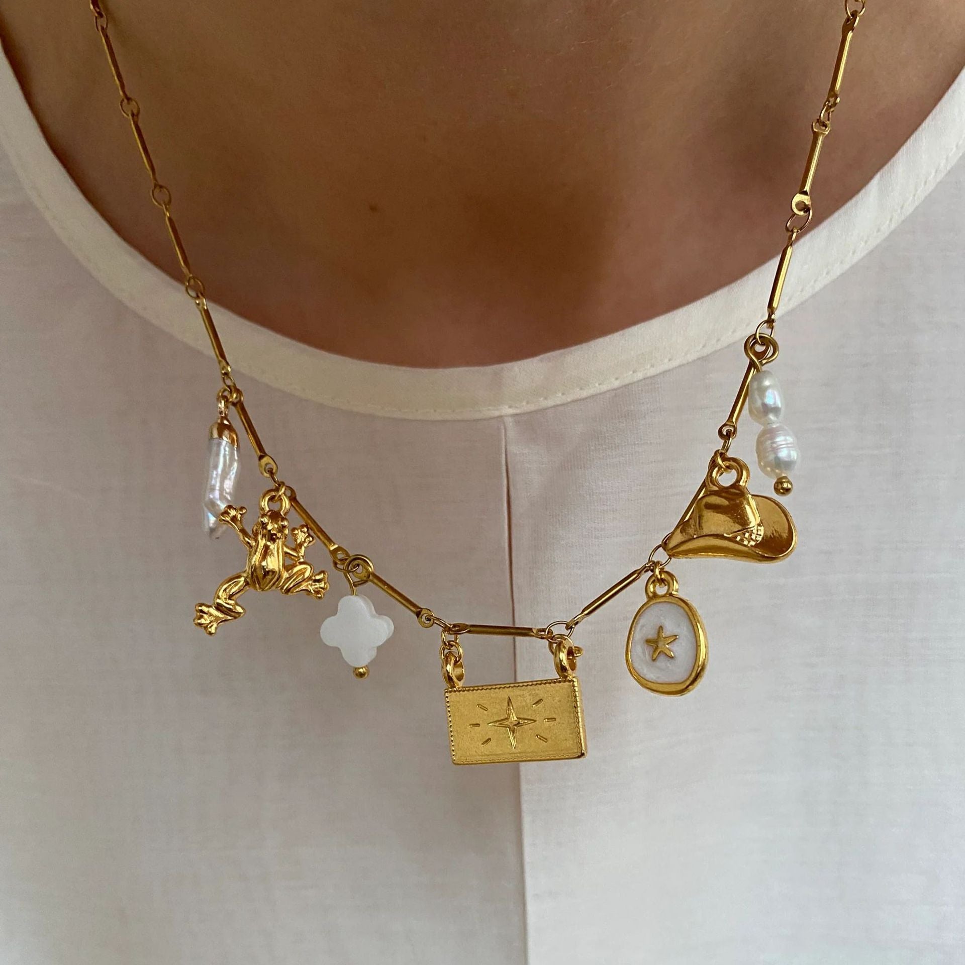 cluster of charms necklace jltn1469
